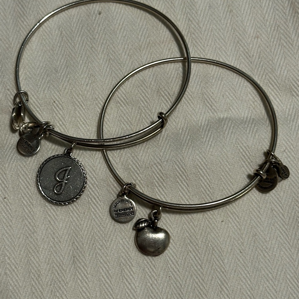 Alex & ani Silver Charm Bangle Set